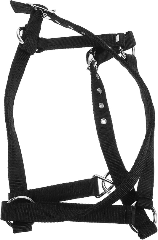 Durable Nylon Horse Halter – Adjustable Rope Bridle for Equestrian Training (Black)