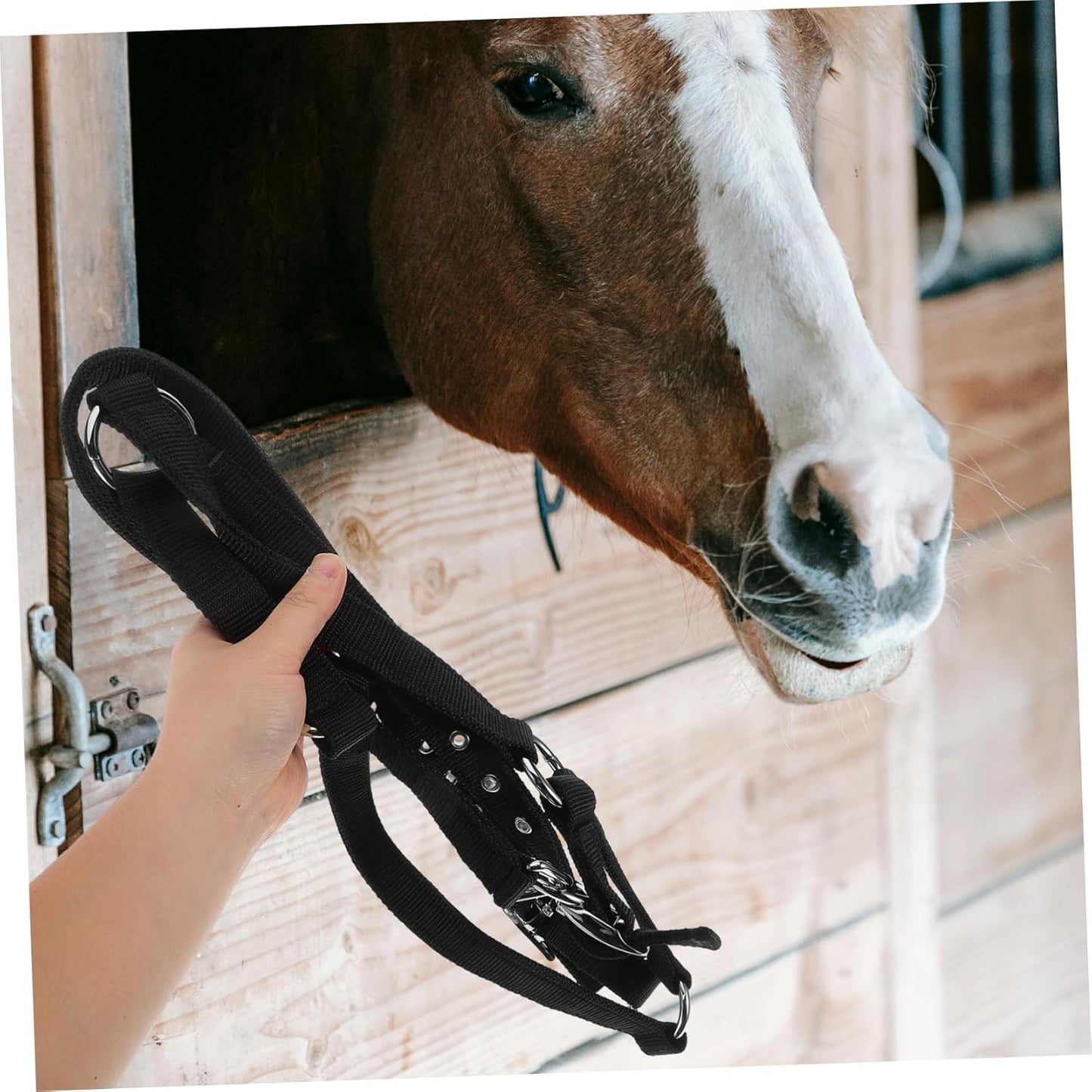 Durable Nylon Horse Halter – Adjustable Rope Bridle for Equestrian Training (Black)